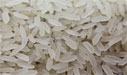 rice-mapping-zenmoon