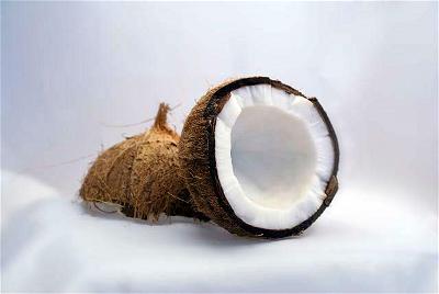 coconut as source of healthy fat-zenmoon