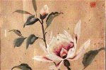 magnolia-by-diana-zen-zenmoon-org-edited