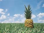 pineapple-cleanse-zenmoon