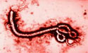 this-is-the-messy-truth-about-ebola-zenmoon-org