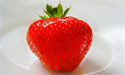 strawberry-fool-zenmoon
